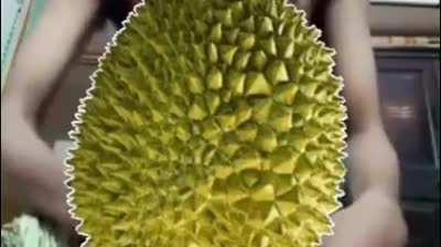 alguien del Beelce Team.