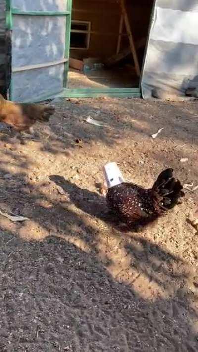 When the worm cup hasn’t been licked clean…