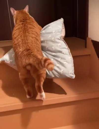 I too have a favourite pillow.