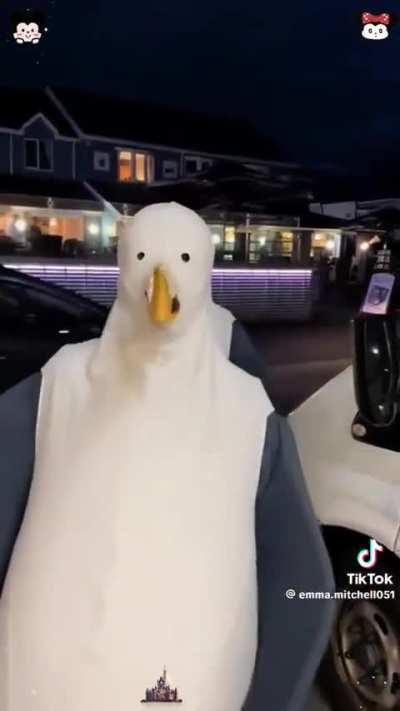 Blursed_Halloween costumes