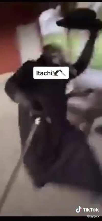 Se vc riu de um tik tok vc n faz mas parte do grupinho dos undergrounds.