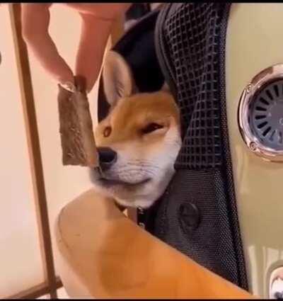 Best way to wake up!