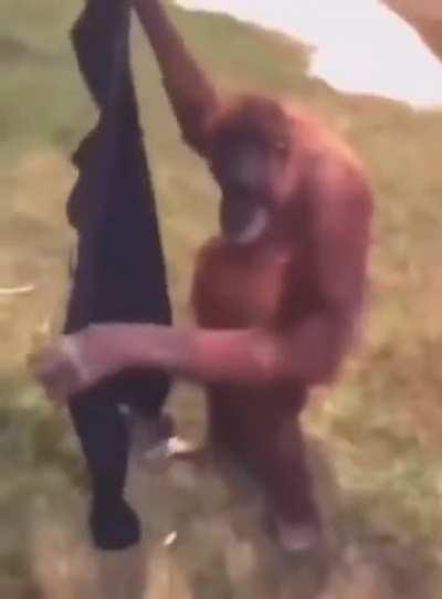 blursed_his the main protagonist..