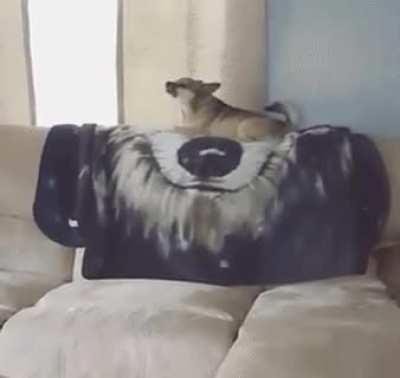 Keep your woofs to yourself