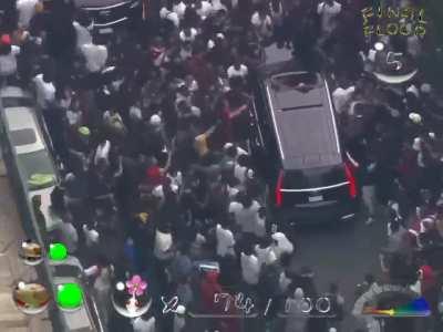 pikmin real life at reality