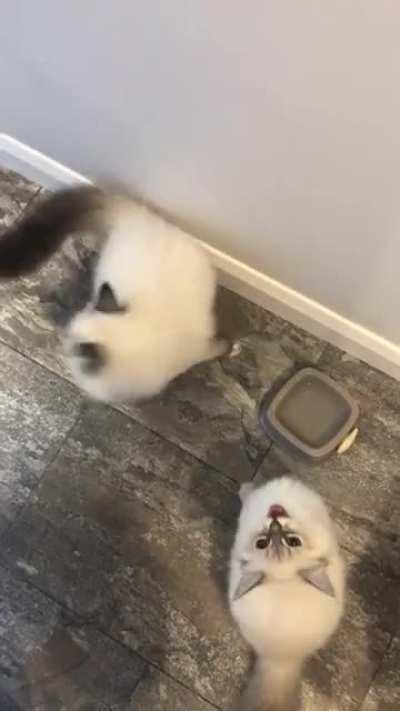 Apparently I haven&rsquo;t fed them in 3 weeks.