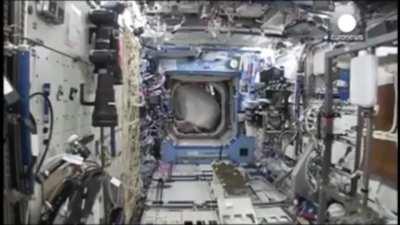 Astronaut smuggles a full gorilla suit onto ISS space station without telling anybody