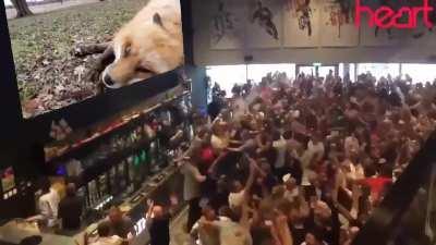 Yay Foxxo wows the audience!