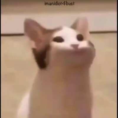 Minecraft (epic games)