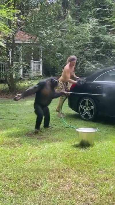 MUQUINHA LAVANDO O SEU CARRO DE 500K