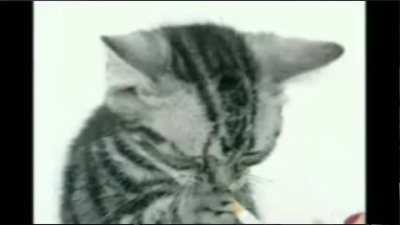 Don't laugh your daughter might be inside