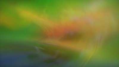 YOU WHAT?! (updated)