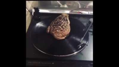 favorite song by mac just bc i relate to the lyrics so much😪