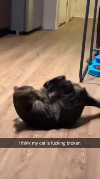 Тренировка