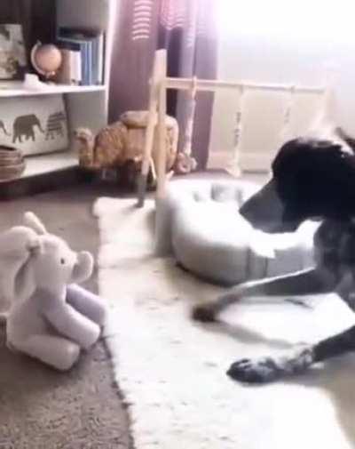 Hooman, What kind of sorcery is this!