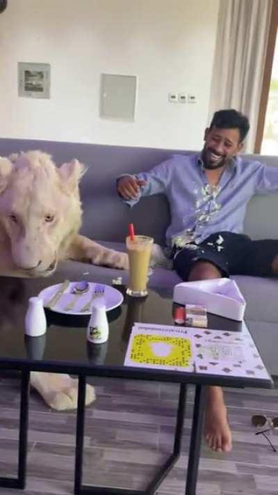 Ни себе ни людям.