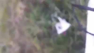 Gufno na masce?1!?!?!?!?!??!?!? JAK 😎😀😞👍👬👑😬🤢😉😆😁🤣☺🙄😶😍