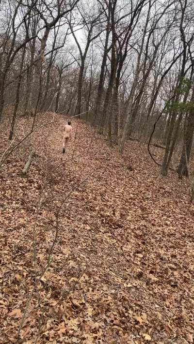 Just your local 7’3” giant enjoying rare early January hikes in the Midwest.