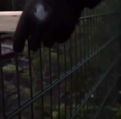 Radem, glumim, da pare legit useful