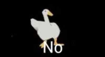 Pato no meme chistoso video audio.