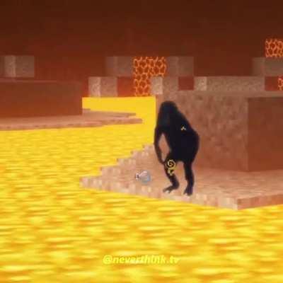 life could be a dream