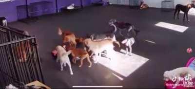 ask and you shall receive