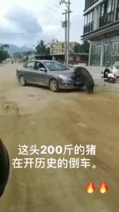 開倒車咯！