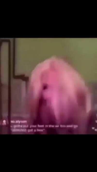 Silly girl tasting hot iron on Instagram live