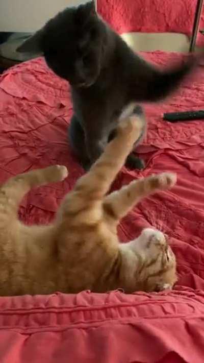 “You’re in my spot”