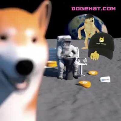If a Doge could Doge a hat, how many hats could Dogehat Doge? So hat. So Doge <3