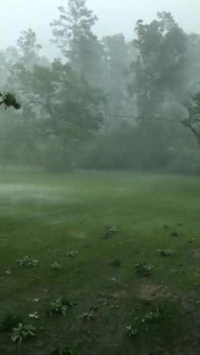 Awesome heavy storm from last night in deep East Texas.