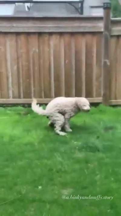 When the time hits, you gotta do it