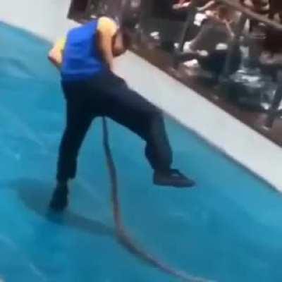 Play with a snek, get bitten