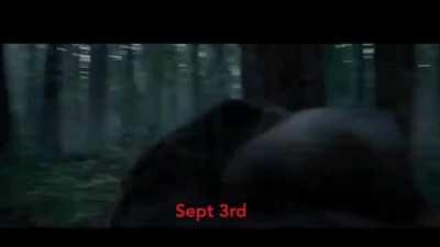 My last 3 weeks... as told by Leo...