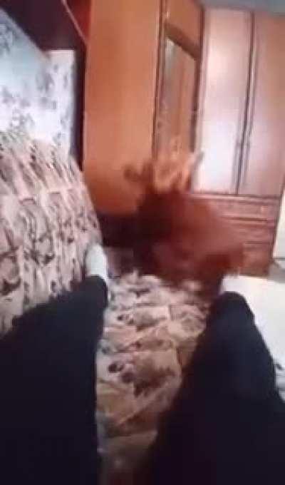 Make yourself comfortable.