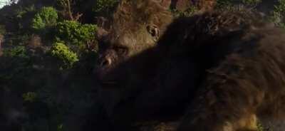 SHREK VS KONG | Made by @givendaum on IG