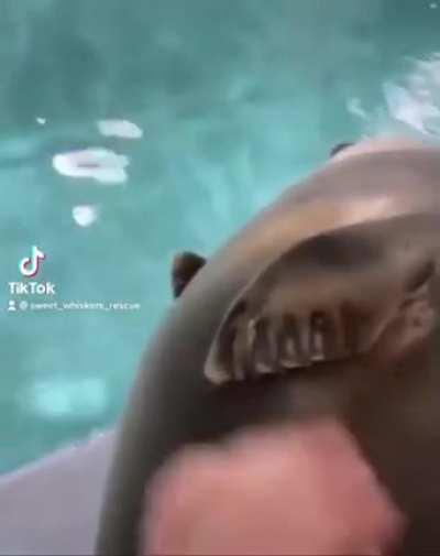 Chonky boi with beautiful eyes omg