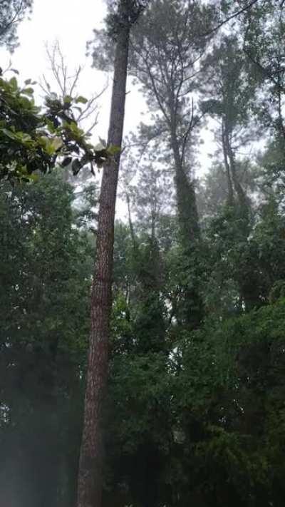 Atlanta, Georgia June 7th 2021