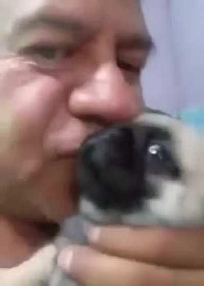 Pastelito y golobos 😯