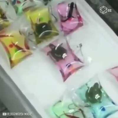 Lovely country. Lovely people.