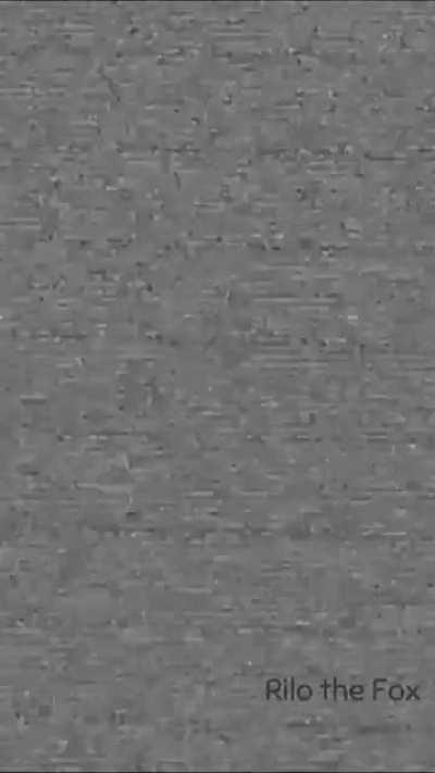 Fwench Fwy burns themselves 🔥