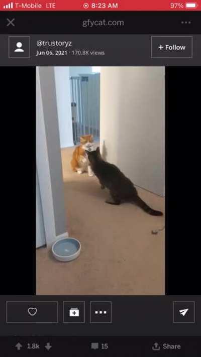 And down goes Friskees