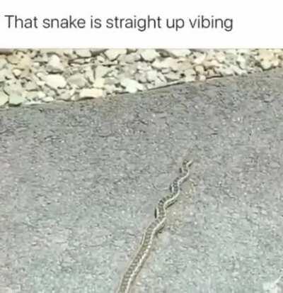 Yo, does anybody know what is wrong with that garter snake?