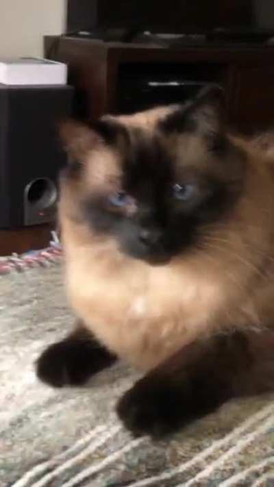 Just Murph here to say hello