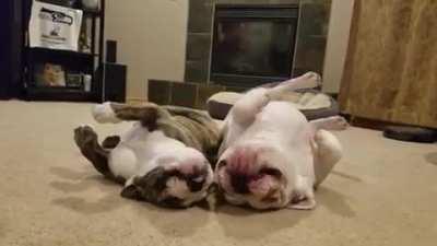 This is my chicken nuggets!!!