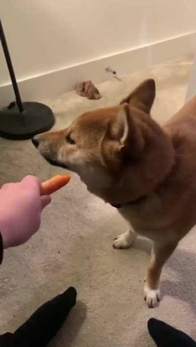Carrot ASMR