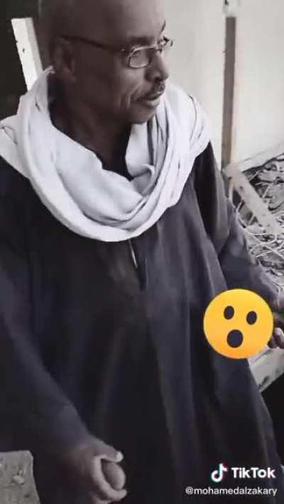 Египетская сила!