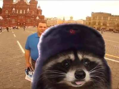 🎶 Ra Ra RACCSPUTIN (Russia's Greatest Trash Machine)