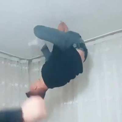 Monkeydonian apes together strong.