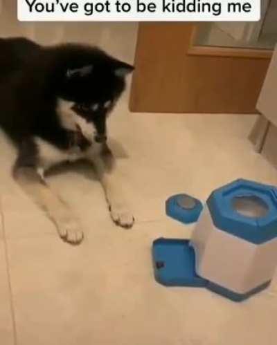 That disappointed face